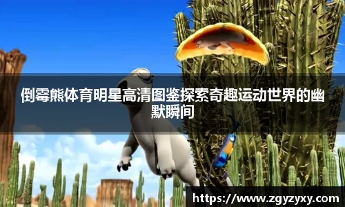 倒霉熊体育明星高清图鉴探索奇趣运动世界的幽默瞬间