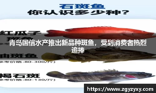 青岛国信水产推出新品种斑鱼，受到消费者热烈追捧