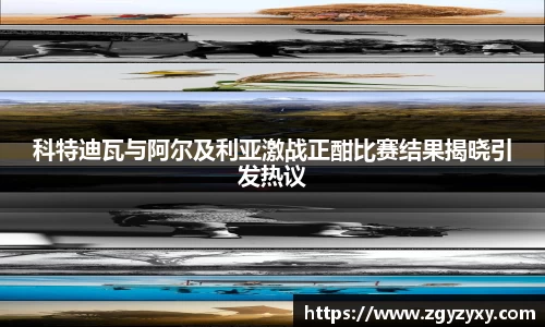 科特迪瓦与阿尔及利亚激战正酣比赛结果揭晓引发热议